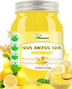 Gel de mousse de mer d'Irlande crue 18.5OZ Gel naturel de la fumée de mer sauvage avec 92 minéraux et vitamines, Digestion saine, projet non-OGM