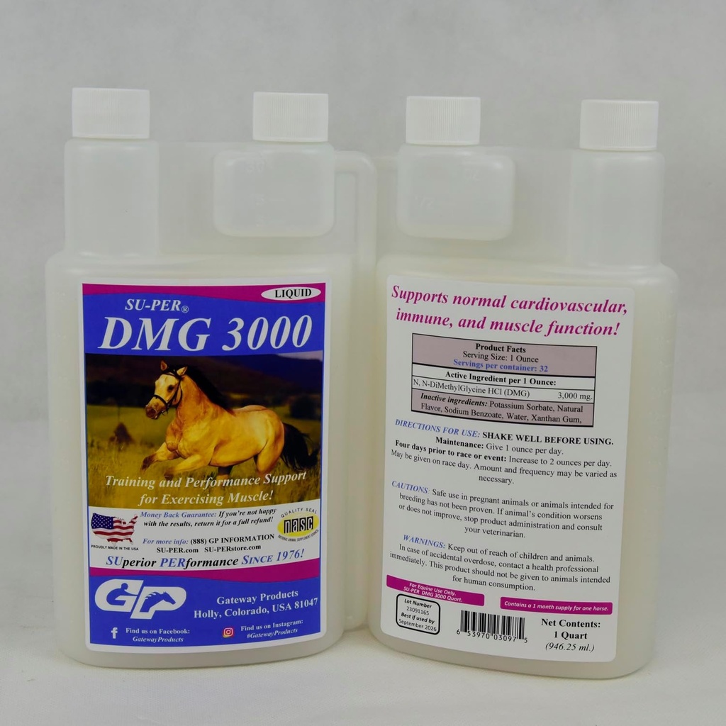 SU-PER DMG 3000 Horse Supplement - Training & Performance Support Liquid - Supports Normal Cardiovascular Immune & Muscle Function - 1 Quart, (2 Pack)