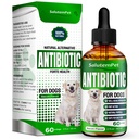 Antibiotiques naturels pour chiens et chiots. Antibiotiques pour chiens de tous les âges. Ingrédients à base de plantes.