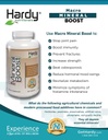 Macro Mineral Boost - Supplément de calcium à haute intensité pour la santé des os et des dents avec vitamine C, D, K, calcium, phosphore et magnésium, ultra absorbable