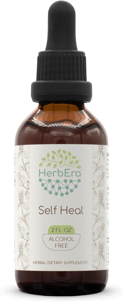 HerbEra Self Heal B60 Extrait de plantes sans alcool Teinture, gouttes liquides concentrées Self Heal naturel (Heal All, Prunella Vulgaris) (2 fl oz)