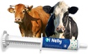 Ruminants Pâte pré et probiotique (80g)- Pré et probiotiques avec des vitamines et des minéraux- 6 souches et 8 milliards CFU- Immune et Gastro Health Support for All Ruminants: Bovines, Chèvres & More