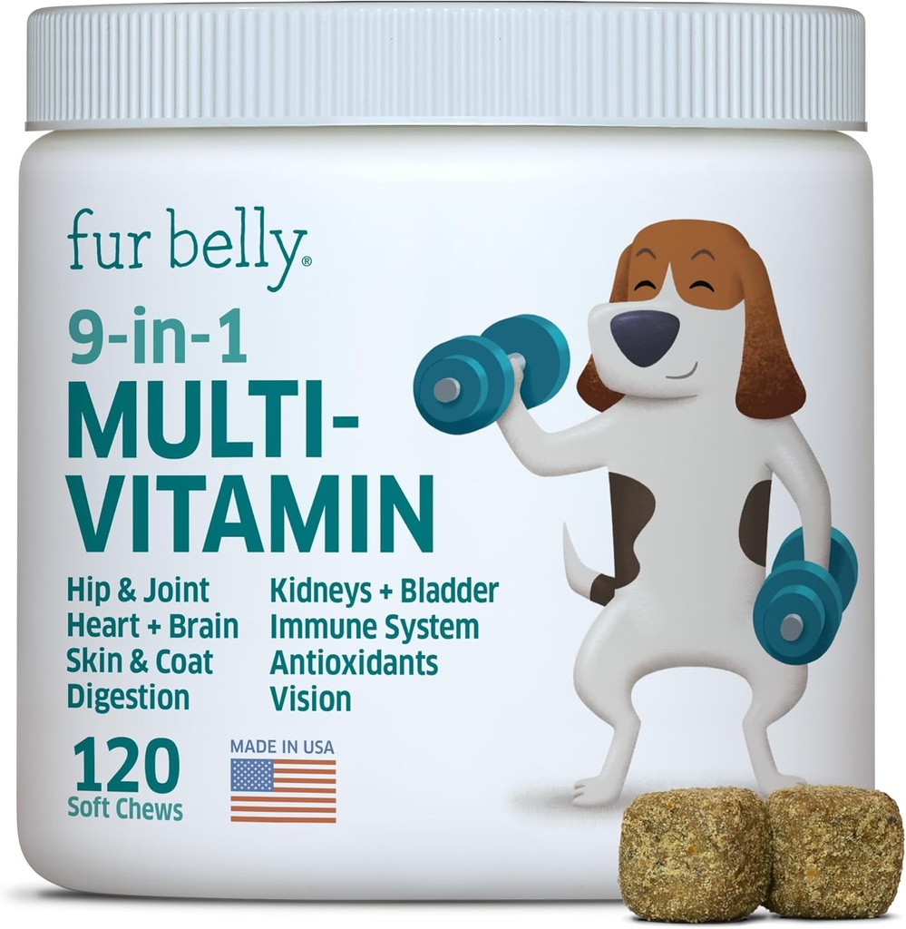 Multivitamine de chien - Vitamines et suppléments de chien - Enzymes digestifs et probiotiques - Probiotiques pour chiens - pour la peau et les allergies de manteau - Système immunitaire et santé globale - 120 Soft Chew Dog Treats