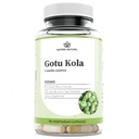 Nature Restore Gotu Kola Extract Supplément, standardisé à 10 pour cent Triterpènes, fabriqués aux États-Unis, 90 capsules, non OGM, sans gluten, végétalien