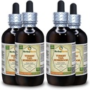 Turkey Tail Mushroom (Trametes Versicolor) Teinture, Extrait liquide de champignons séchés (Marque: HerbalTerra, Fièrement fabriqué aux États-Unis) 4x4 fl.oz (4x120 ml)