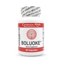 ARN Canada (Lumbrokinase) 60 gélules