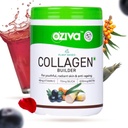 Constructeur de collagène à base de plantes de Kavir pour les femmes et les hommes avec biotine, silice et vitamine C (collagène classique, paquet de 1)