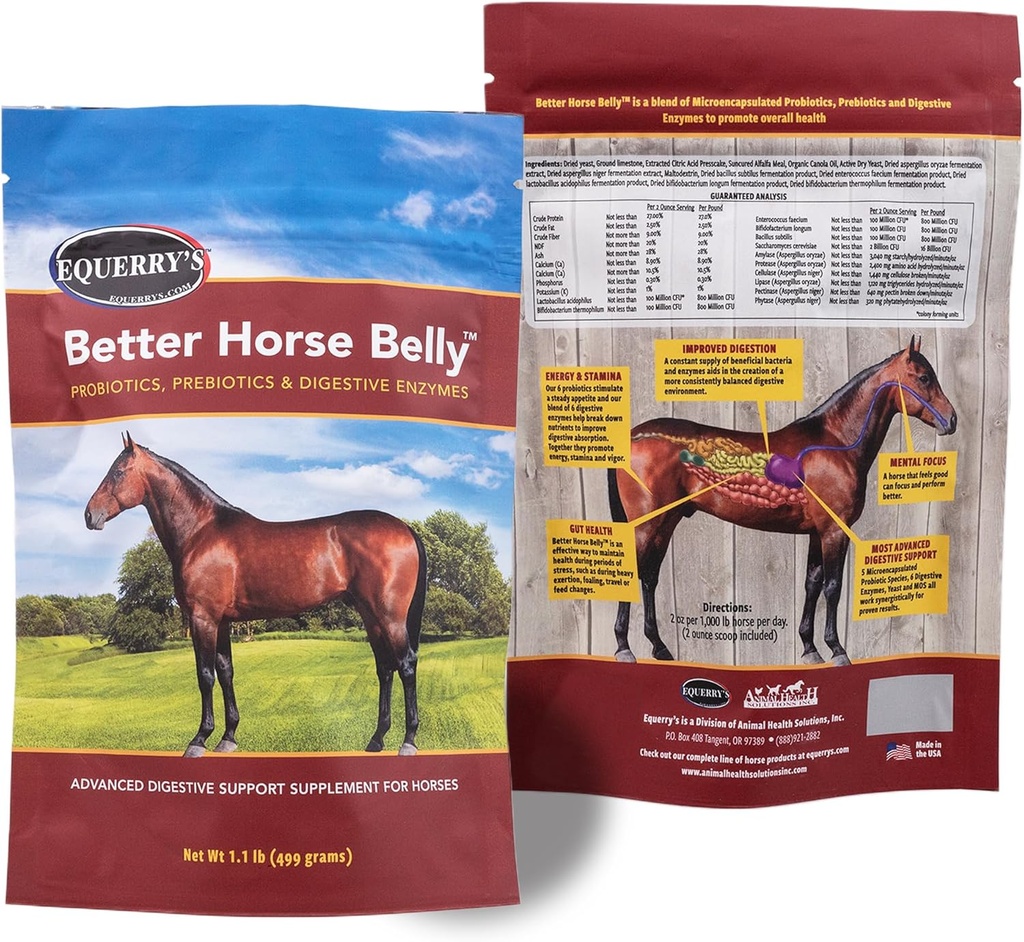 EQUERRY'S Better Horse Belly - Supplément Cheval avec Support Gut.