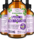 Liposomique Ashwagandha gouttes liquides 2000mg, supplément d'extrait de racine Ashwagandha (7% Withanolides) avec extrait de poivre noir et probiotiques pour focus, cognition et énergie - 2 FL.OZ (1 bouteille)