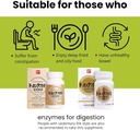 Enzymes digestifs naturels et enzymes digestives à base de plantes Supplément fibreux pour les femmes, avec 39 mélanges végétaux et 7 mélanges à base de plantes pour l'énergie et le métabolisme, comprimés d'or 150, du Japon, 2 EA