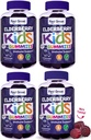 Sentir les grands enfants Gommies de mûrier avec le zinc et la vitamine C (4-Pack)