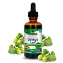 Réponse de la nature sans alcool Ginkgo Leaf 2000mg Extrait de 2 oz Stimule la mémoire, l'humeur et la concentration