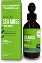 Boussole de mer biologique gouttes liquides $ 30 000 MG $ Mouss de mer avec bladderwrack, Elderberry $ 4X Moss de mer biologique plus forte que les pilules et capsules pour une vie saine globale! 1 bouteille