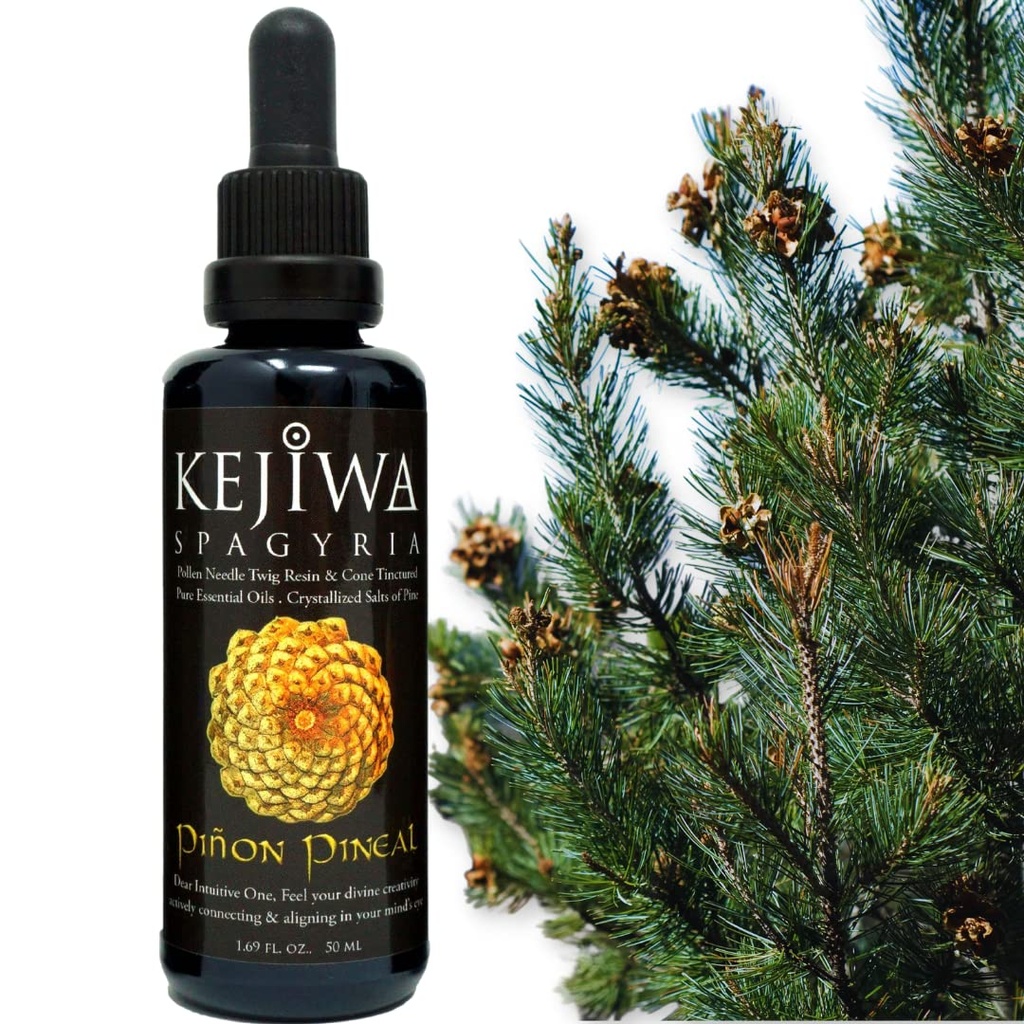 Kejiwa PIÑON PINEAL Spagyria: Teinture d'herbe de pin sauvage récoltée pour l'activation du troisième œil, Nootropic, Adaptogen, Vitality Support 1,69 fl oz