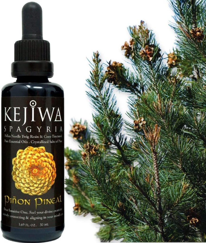 Kejiwa PIÑON PINEAL Spagyria: Teinture d'herbe de pin sauvage récoltée pour l'activation du troisième œil, Nootropic, Adaptogen, Vitality Support 1,69 fl oz