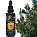 Kejiwa PIÑON PINEAL Spagyria: Teinture d'herbe de pin sauvage récoltée pour l'activation du troisième œil, Nootropic, Adaptogen, Vitality Support 1,69 fl oz