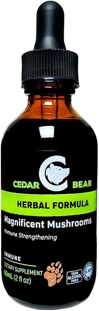 Cedar Bear Magnifique champignons un supplément à base de plantes liquides qui construit le système immunitaire, protège, renforce et équilibre la santé globale 2 Fl Oz