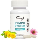 Supplément de support du système lymphatique - Supplément de drainage lymphatique avec extrait d'échinacée pururea, extrait de mandélion 60 Compte