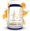 Nootropics Depot Capsules Hesperidin: 500mg.60 Comte: 90% Extrait d'agrumes.