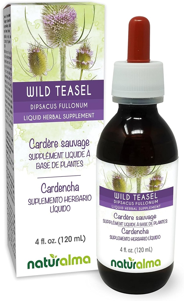 Naturalma Wild Teasel or Fuller's Teasel (Dipsacus fullonum or D. sylvestris) Root Alcohol-Free Tincture - 4 fl oz Liquid Extract in Drops - Herbal Supplement - Vegan