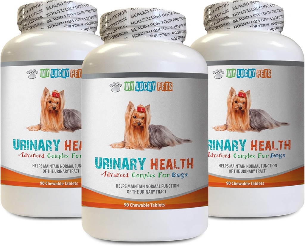 Soutien pour chiens - Formule de santé urinaire pour chiens - Aide pour les problèmes d'incontinence et de blindage - Immune Boost - Supplément de canneberge pour chiens - 3 bouteilles (270 gâteries)
