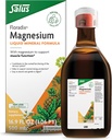 Floradix Magnésium - Liquid Herbal & Mineral Complement soutient un système nerveux sain et une fonction musculaire normale - Formule liquide douce - Végétarien, sans gluten et sans OGM - 16,9 fl oz