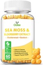 Gummies de mousse de mer pour les adultes et les enfants, 2000mg Seamoss cru, Bladderwrack, root de Burdock, Elderberry, poivre, vitamine C et D3, Zinc soutient le système immunitaire et Boost Energy (1-Pack)