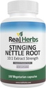 Real Herbs Stinging Nettle Root Extract 7500mg (750mg of 10:1 Extract) – Vegetarian Friendly, Non-GMO, Gluten-Free – Supports Prostate & Urinary Health – 100 Capsules