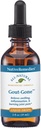 Remédies indigènes Gout-Gone - Formule homéopathique naturelle pour le gonflement articulaire, la rougeur et le malaise du Gout - 59 ml