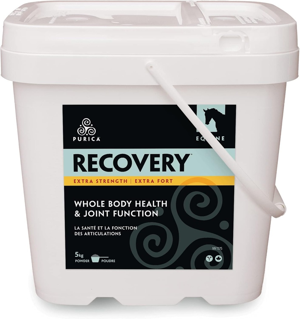 PURICA Recovery Extra Strength - Supplément de joint équine - Soutien complet pour chevaux - Supplément de joint idéal pour chevaux seniors, poudre MSM inclus - 11 lb poudre