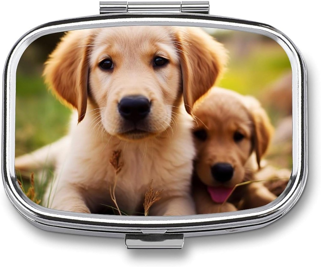 Cute Golden Retriever Puppy Pill Box 2 Compartiment Portable Pill Case Daily Square Pill Organizer for Pocket Purse Daily Medicine Container to Hold Vitamines Fish Oil Travel Gifts