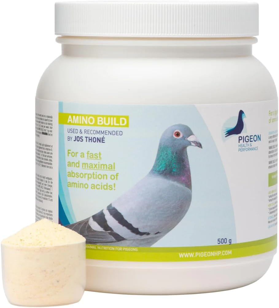 Générique PHP Amino Build 500g - Amino Acides de construction musculaire Pigeon Santé et performance