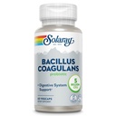 SOLARAY Bacillus Coagulans Probiotic - 5 milliards de microorganismes vivants - Digestion et Gut Health Support - Probiotiques pour la santé du corps entier avec fibre prébiotique inuline, garantie de 60 jours, 30 portions, 60 VegCaps