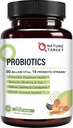 Probiotiques pour les femmes, les hommes et les enfants, 60 milliards de probiotiques pour la santé digestive -14 souches, prébiotiques et probiotiques pour Gut Health & Immune Support, sans gluten, sans OGM, 90 comprimés
