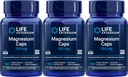 Life Extension Magnesium 500 mg, 100 Vegetarian Capsules (Pack of 3)