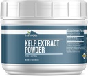 Éléments terriens Extrait de Kelp Poudre de 1,1 lb, Pure & Natural, Superfood