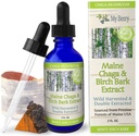 Maine Chaga Champignons et bouleaux Extrait d'écorce liquide de 2oz