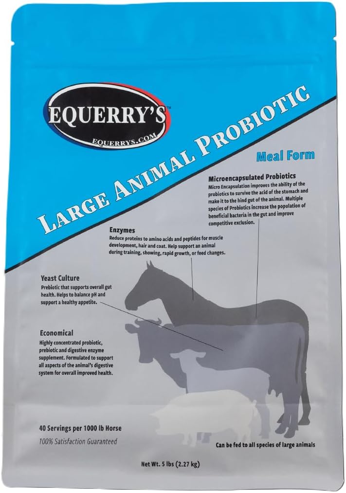 Equerry’s Large Animal Probiotic | Supplements for Gut Health and Nutrient Absorption | Probiotics and Digestive enzymes for Horses, Cows, Goats, Sheep, Pigs, 40 Feedings (5 lbs) for 1000 lb Animal