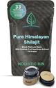 Résine Holistic Bin Shilajit - Himalayan Fulvic & Trace - Résine de platine noir - Extrait de Shilajit - Mélanger des liquides - Porter une cuillère comprise - 10g