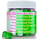 Moringa Irish Sea Moss Chlorophyll EGCg Green Tea Burdock Root Bladderwrack Super Greens Gummies, Capsules de poudre Pills Liquid Drops Oil Tincture Suppléments Alt, Bio Green Seamoss