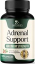Suppléments de soutien adrénal Complexe Cortex, Meilleur supplément énergétique, Soutiens Cortisol Santé & Niveaux d'énergie, Ashwagandha quotidien pour les femmes et les hommes, Soutiens Adrénal Fatigue & Système immunitaire, 120 Capsules