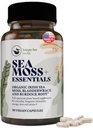 HAPPY FOX Irish Sea Moss Capsules avec la racine de Burdock & Bladderwrack - Alternative à Seamoss Gummies ou Poudre, 90 Capsules Vegan, Fabriqué aux États-Unis