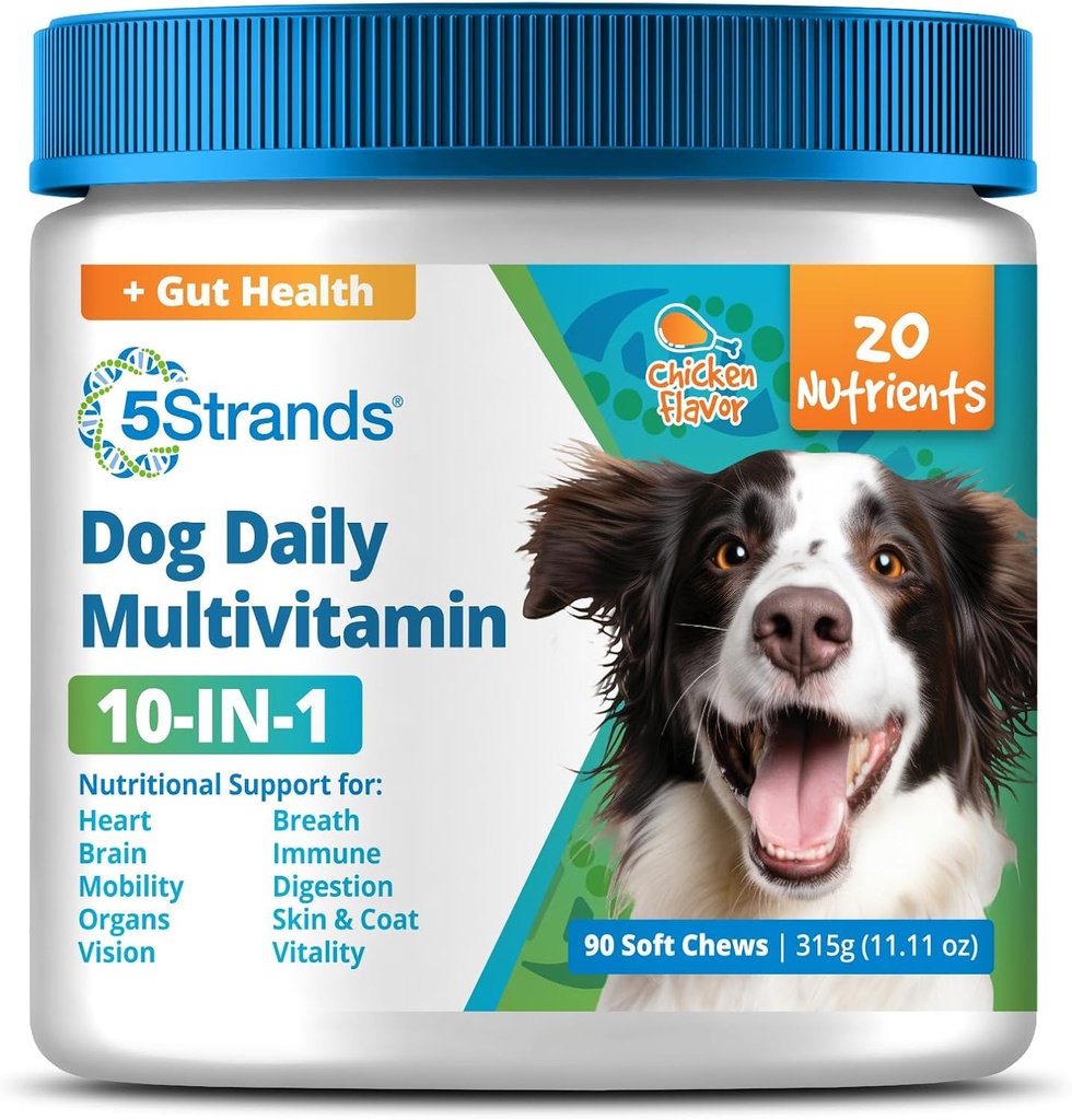 5Strands Chien Multivitamine Chews, 10-en-1, Vitamines et Postbiotiques, Tous âges et races - Digestion, Cerveau, Organes, Coeur, Mobilité, Vision, Peau et Coat, Santé immunitaire - Supplément pour chien (Chicken, 90ct)