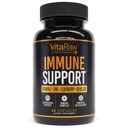 Soutien immunitaire Vitamines - Elderberry avec du zinc, de la vitamine C et de l'ail pour adultes - Sambucus Black Elderberry Capsules & Echinacea Immunity Renewal Complex