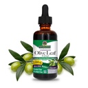 Réponse de la nature Extrait de feuille d'olive, sans alcool, non-OGM, végétalien, sans gluten, fabriqué aux États-Unis, 2 Extrait de feuille d'olive d'Ounce