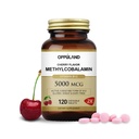 Methyl B-12 5000mcg Chocable au folate - Vitamine B12 Methylcobalamine Comprimés sublinguals - Soutienne l'énergie et la fonction cérébrale - Supplément végétalien - Cherry Flavor - 120 Compte