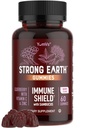 Gommies d'anciennes baies de terre fortes – Sambucus Elderberry Immune Support avec vitamine C et zinc – Gommies d'anciennes baies noires, saveur de baie, non-OGM, sans gluten, casher – 60 comte