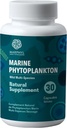 MARPHYL Marine Phytoplancton Wild Multi espèces Supplément naturel - 150 mg par capsule - Organique - 30 capsules végétales - de l'île de Vancouver, Canada