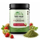 ORIGINE TERRA Mélange de poudres de vert sain, de probiotiques, d'enzymes, de spiruline, de crèmes et de gant digestif Soutien à la santé