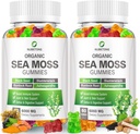 NUBETONG Irish Sea Moss Gummies 6000 mg avec Bladderwrack et Burdock Root - Supplément naturel irlandais pour la thyroid, l'énergie, le soutien immunitaire - Extra Strength, Great Tasting - sans gluten, végétalien